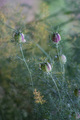 Three Rainy Wi&hellip;