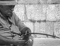 pelješki Palun&hellip;