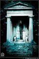 Whispers from &hellip;