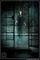 Whispers from &hellip;