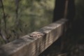 Una journey pt&hellip;