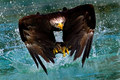 F-20 Eagle mis&hellip;