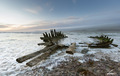 Rossbeigh beac&hellip;