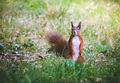 "...Got n&hellip;