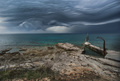 Undulatus aspe&hellip;