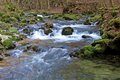 Slapnica, Žumb&hellip;