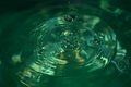 Drops of water