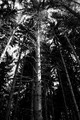 U Samoborskom &hellip;