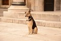 Sultanahmet ca&hellip;