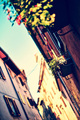 Motovun_EarlyS&hellip;