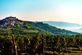 Motovun_EarlyS&hellip;