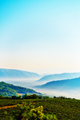 Motovun_EarlyS&hellip;
