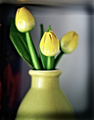 ....flowers fo&hellip;