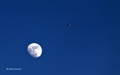 Fly me to the &hellip;