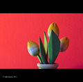 Flowers for Pi&hellip;