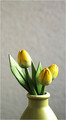 ...flowers of &hellip;
