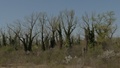 tražeći kluna.&hellip;