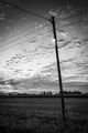 LampOnTheRise