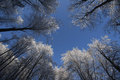 Plavo nebo, bi&hellip;