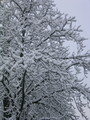 ovo su najavil&hellip;