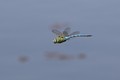 Helikopter bub&hellip;