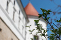 Dvorac Mokrice&hellip;