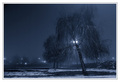 The Night Myst&hellip;
