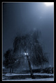 The Mystic Lig&hellip;