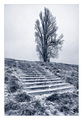 step by step (&hellip;
