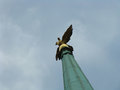 bird upon a bi&hellip;