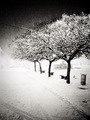 Snow on my iPh&hellip;