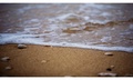 SeaFoam