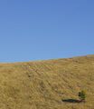 Stabalce